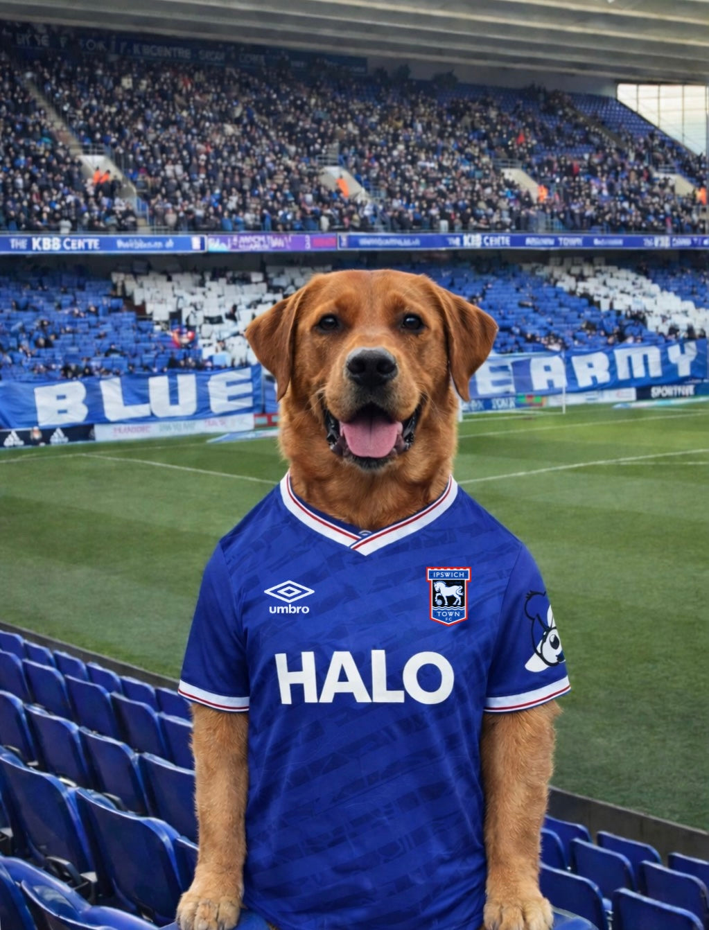 Footy Fan in Stadium Portrait