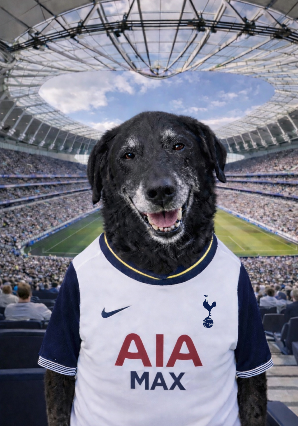Footy Fan in Stadium Portrait