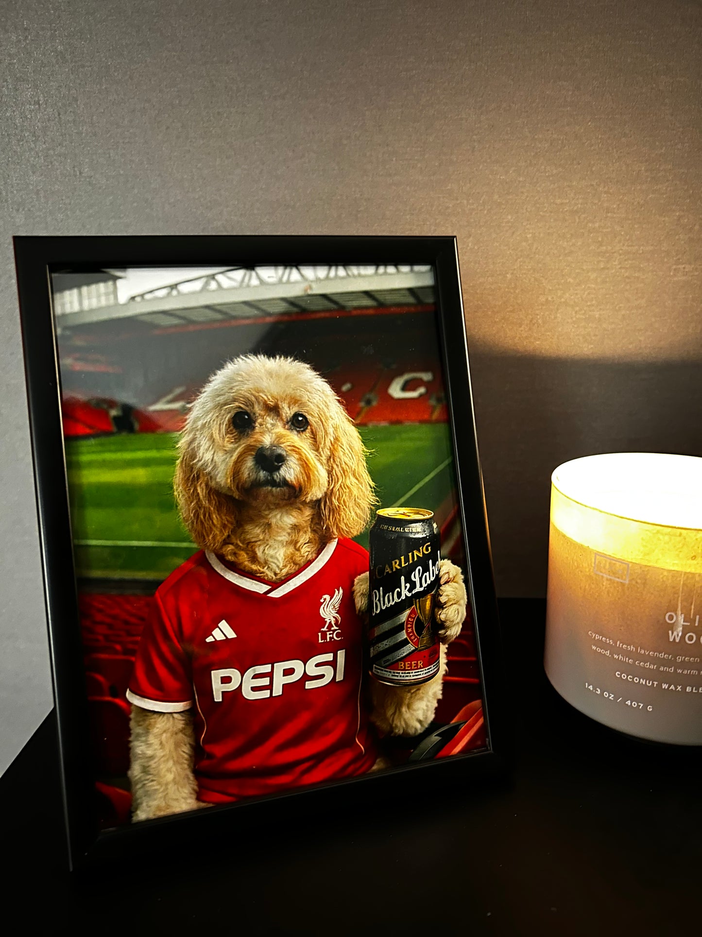 Footy Fan in Stadium Portrait