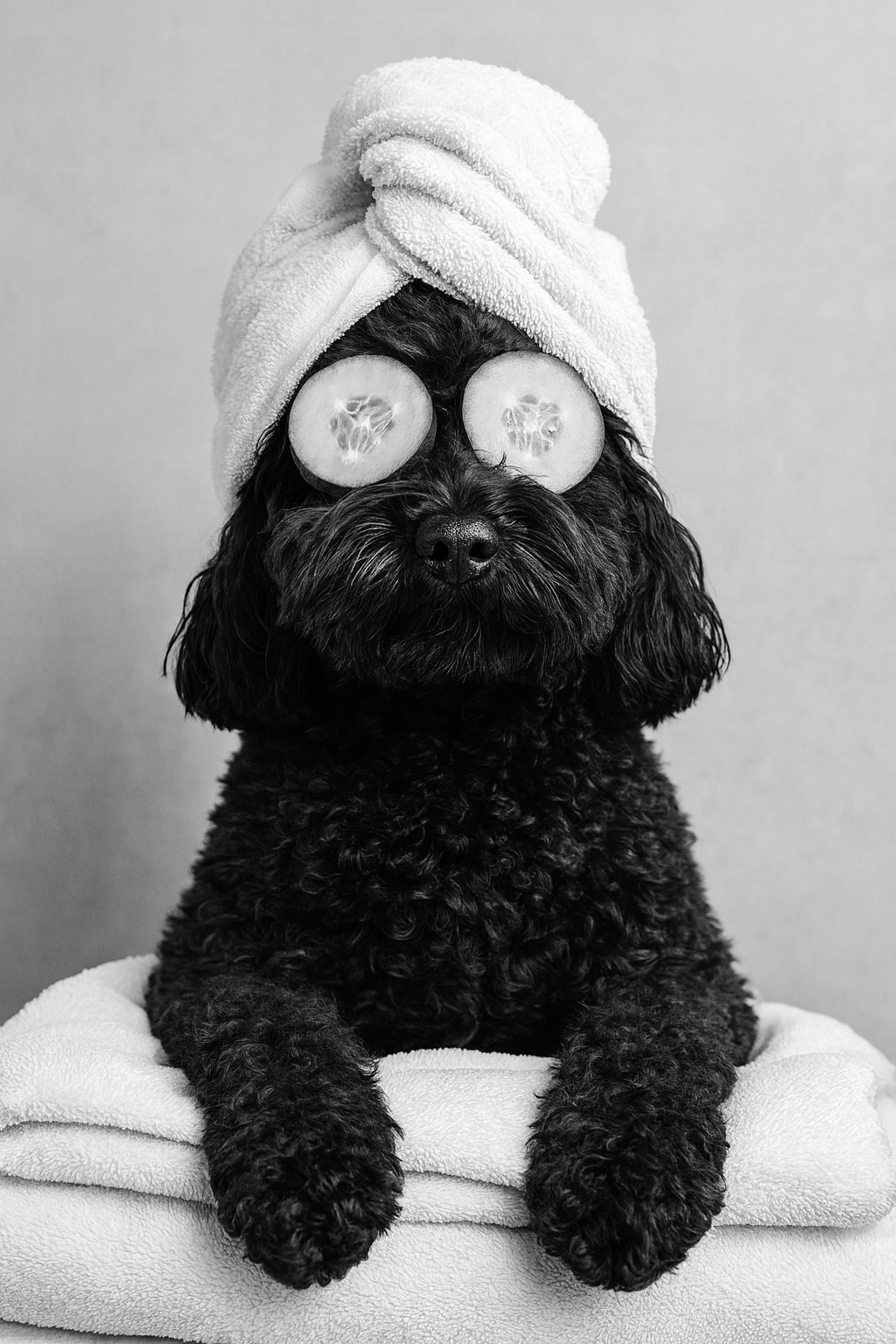 Pamper Paws Portrait